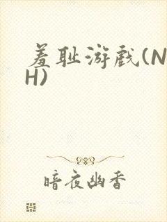 羞耻游戏(NPH)封面