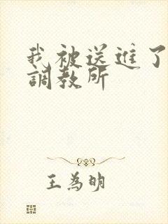 我被送进了私奴调教所