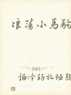 浪荡小马驹封面