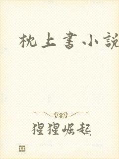 枕上书小说封面