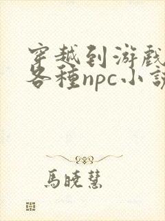穿越到游戏里和各种npc小说