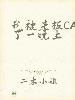我被老板CAO了一晚上