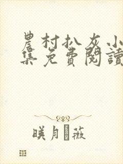 农村扒灰小说全集免费阅读封面