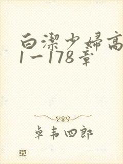 白洁少妇高义第1一178章