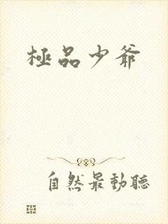 极品少爷