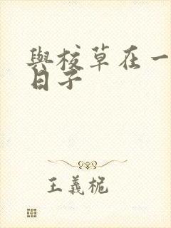 与校草在一起的日子
