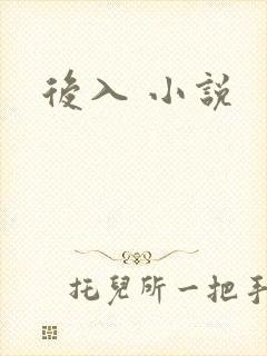 后入 小说