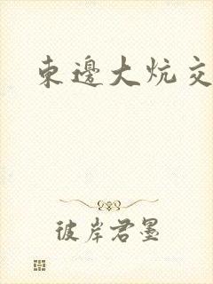 东边大炕交换