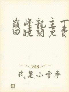巅峰龙主丁长顺田晓兰免费阅读
