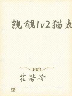 觊觎1v2猫丸封面