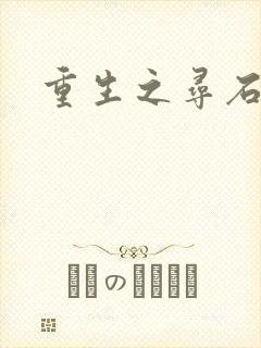 重生之寻石者
