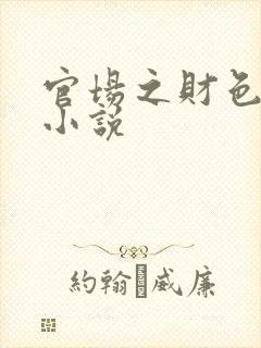 官场之财色诱人小说