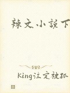 辣文小说下载