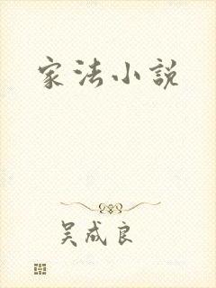 家法小说