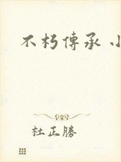 不朽传承 小说封面