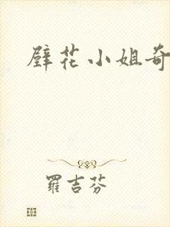 壁花小姐奇遇记封面
