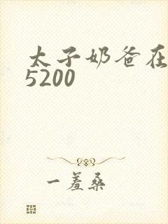 太子奶爸在花都5200