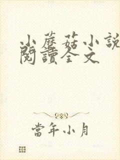 小蘑菇小说免费阅读全文