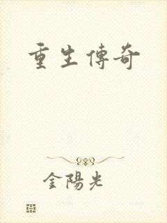 重生传奇封面