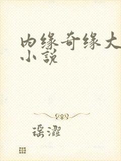 内缘奇缘大团圆小说