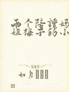 两个陪读妈妈赵姐梅子的小说