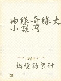 内缘奇缘大团圆小说网