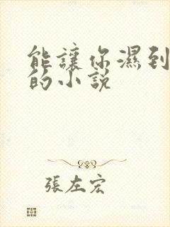 能让你湿到不行的小说