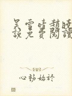 吴雪晴赵晓东小说免费阅读封面
