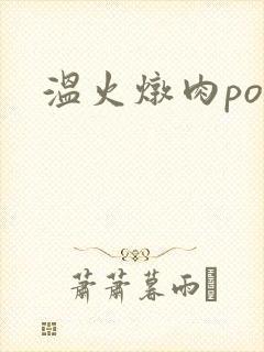 温火炖肉pop