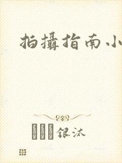 拍摄指南小说