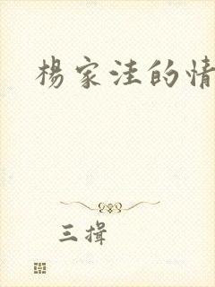 杨家洼的情事