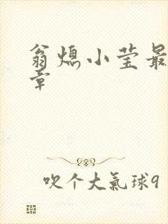 翁熄小莹最新节章