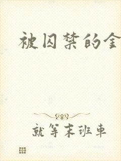 被囚禁的金丝雀