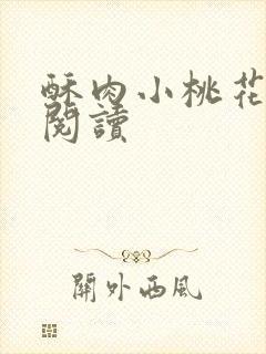酥肉小桃花全文阅读