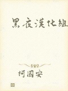 黑夜汉化组