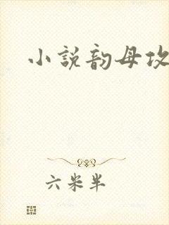小说韵母攻略