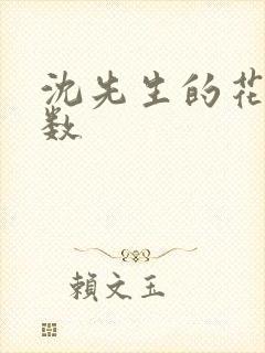 沈先生的花式调数