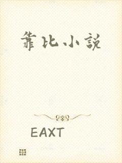 靠比小说