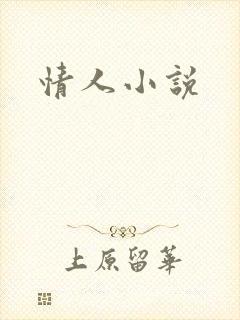 情人小说封面