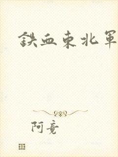 铁血东北军