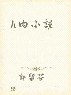 h肉小说