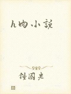h肉小说