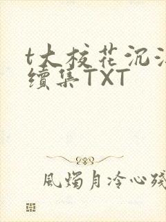 t大校花沉浮录续集TXT封面