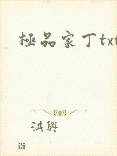 极品家丁txt