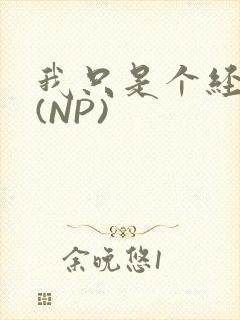 我只是个经纪人(NP)