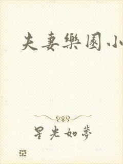 夫妻乐园小说