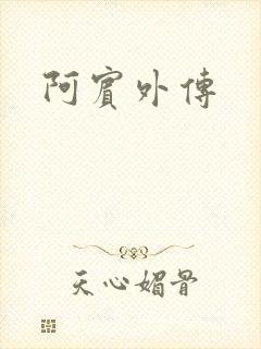 阿宾外传