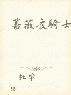 蔷薇夜骑士