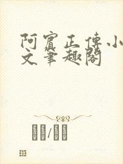 阿宾正传小说全文笔趣阁封面