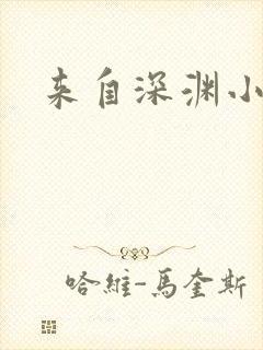 来自深渊小说